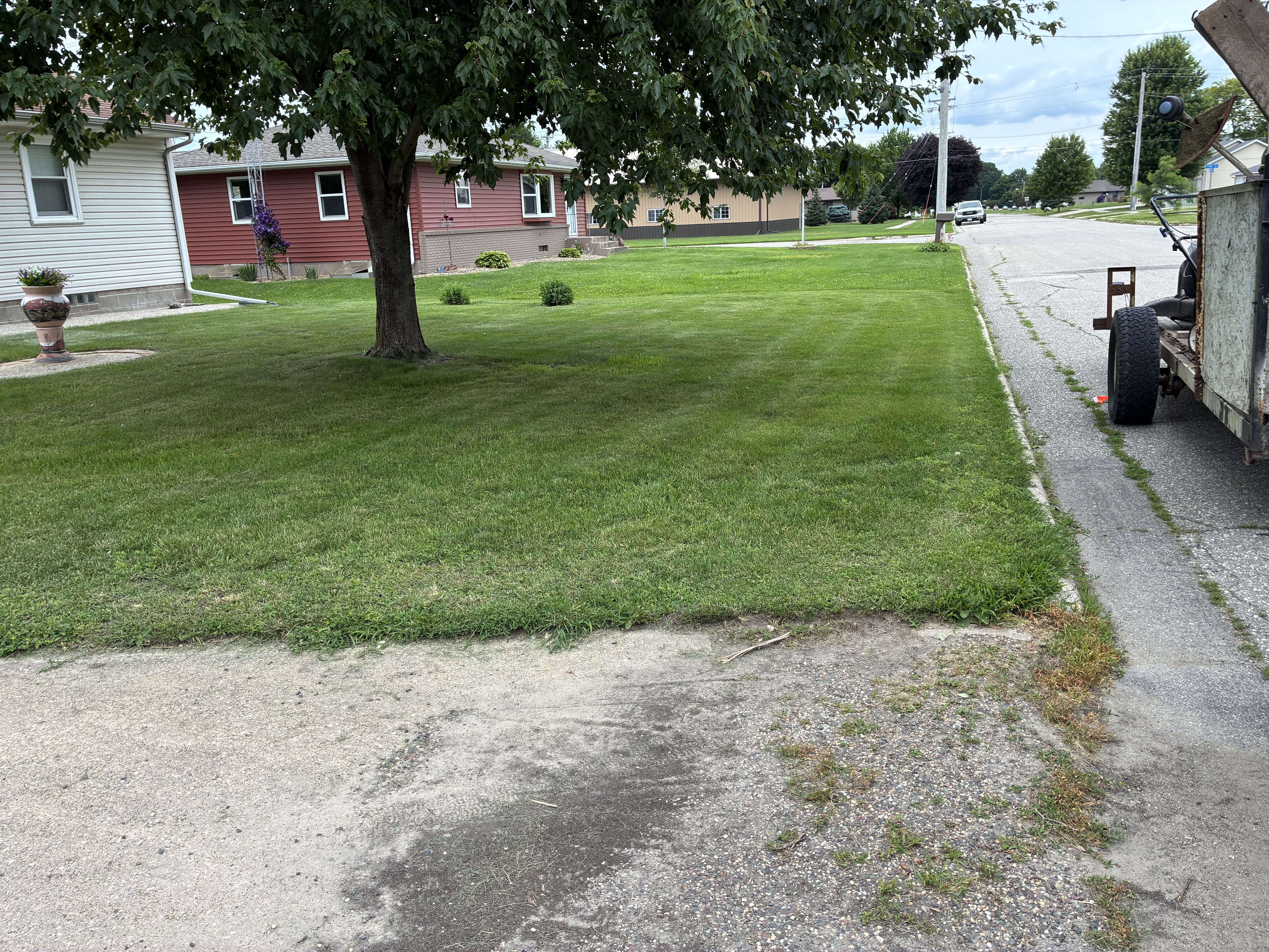 Before photo for Small Yard Lawn Care