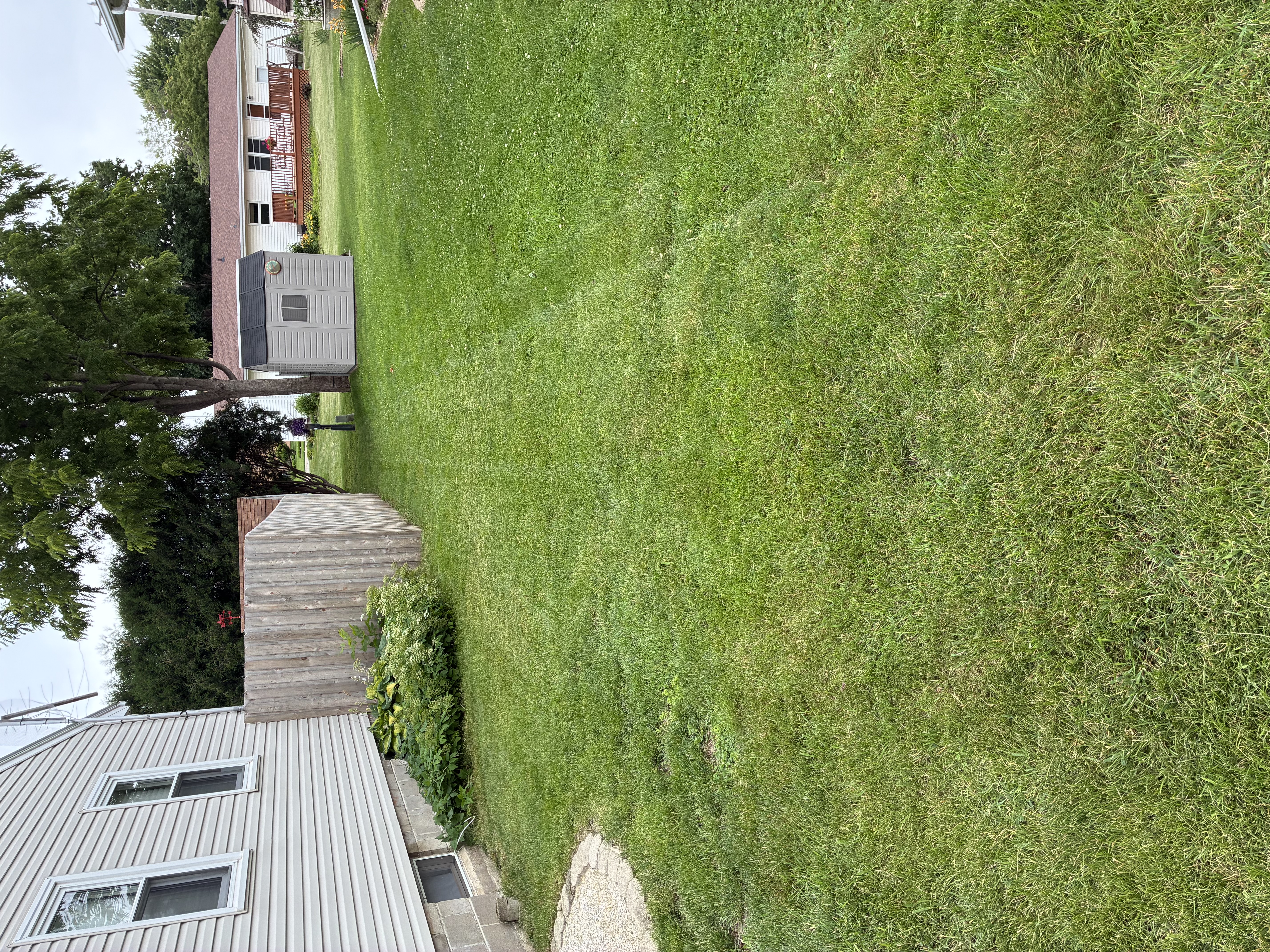 After photo for Small Yard Lawn Care