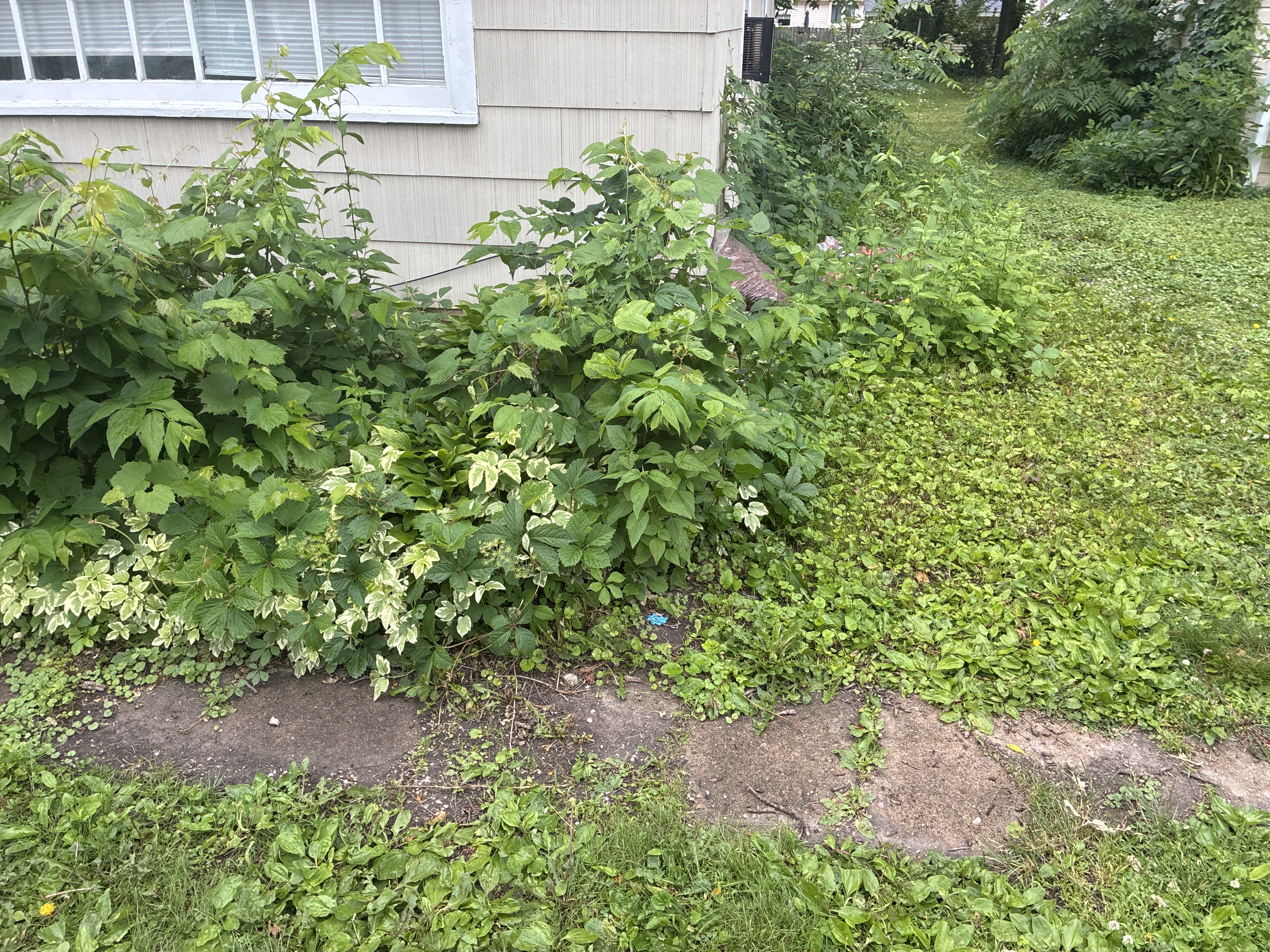 Before photo for Handyman / Property Maintenance