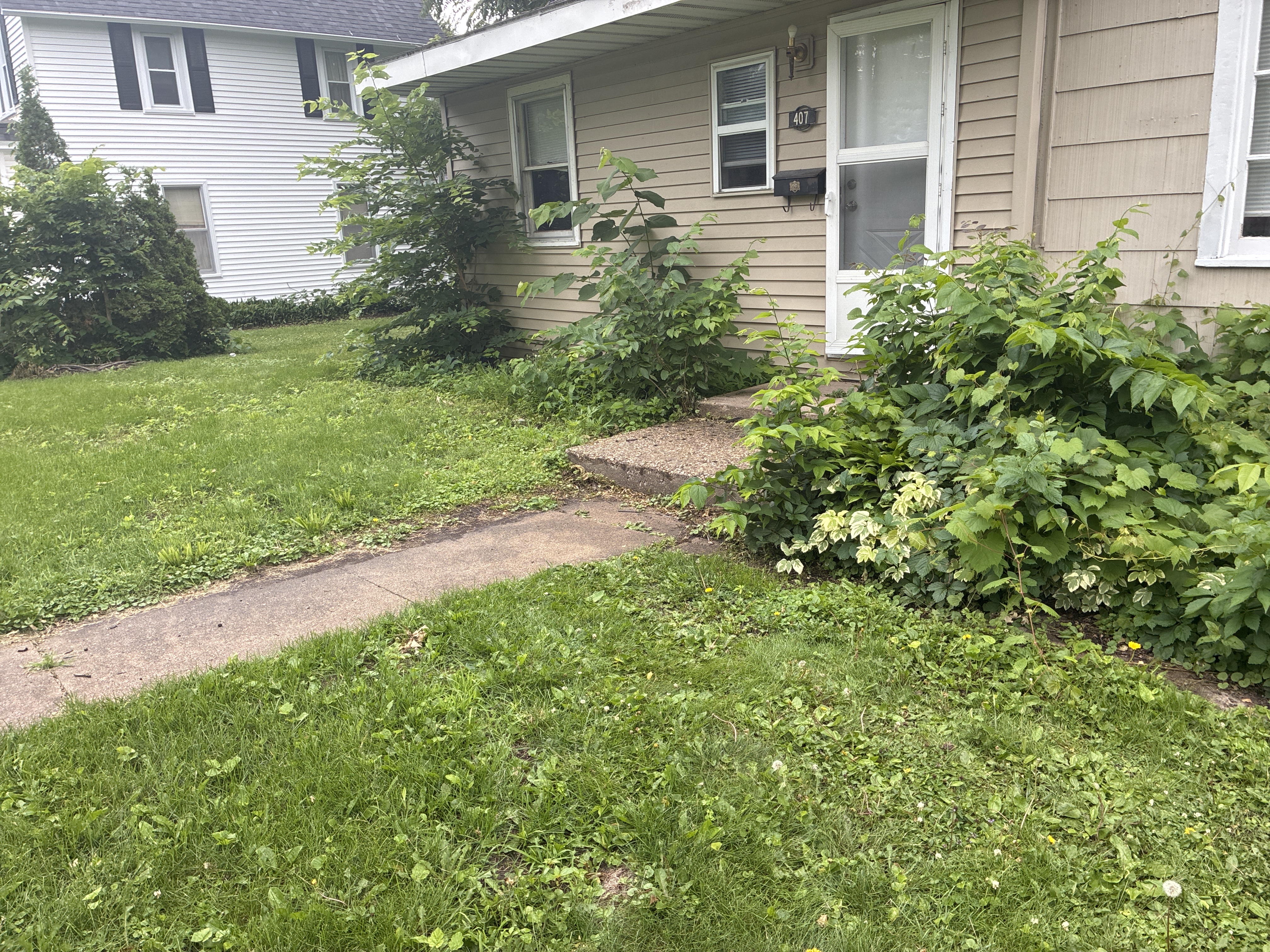 Before photo for Handyman / Property Maintenance