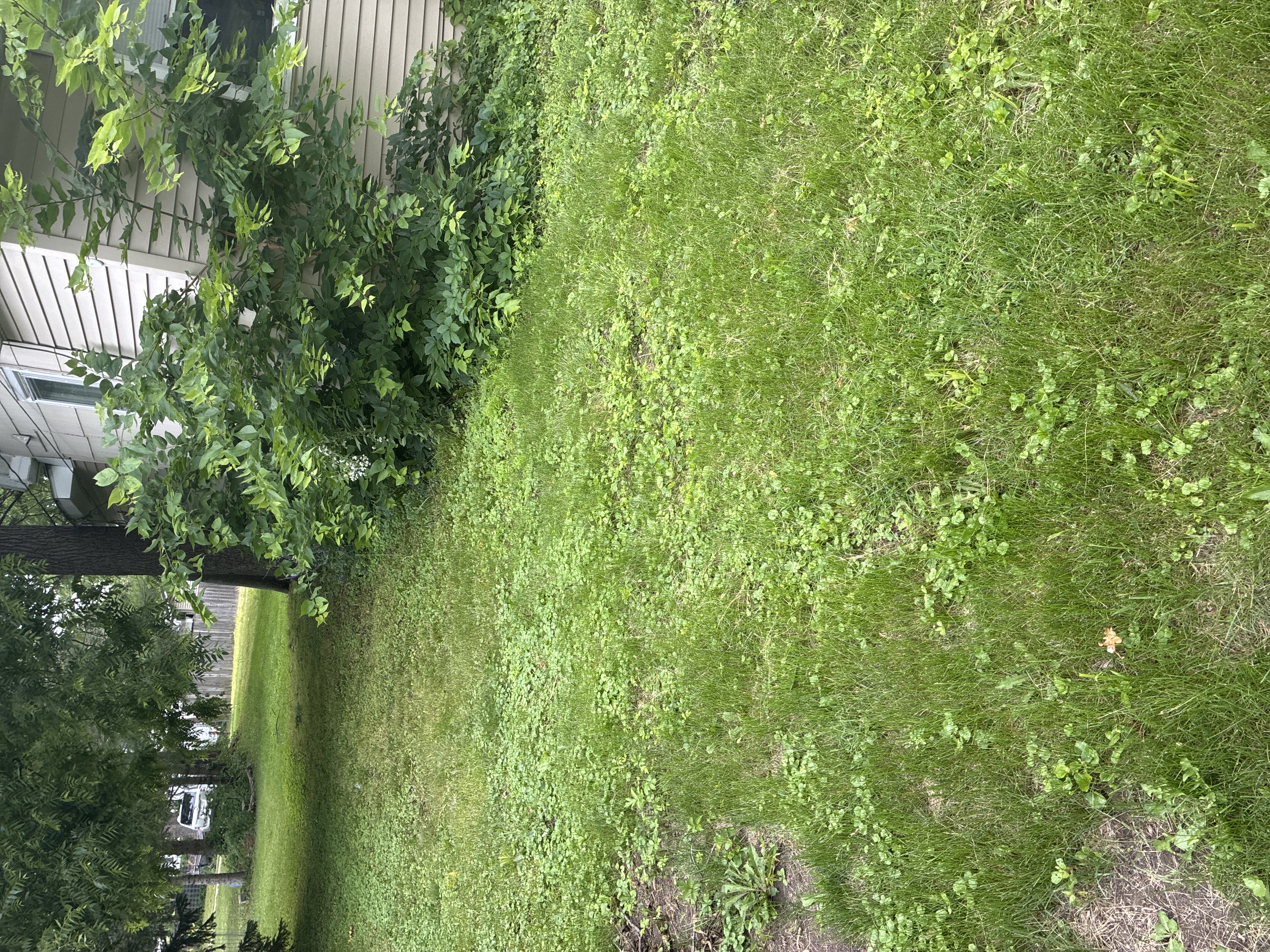 Before photo for Handyman / Property Maintenance